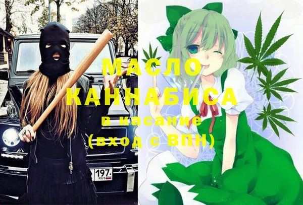 дмт Алексин