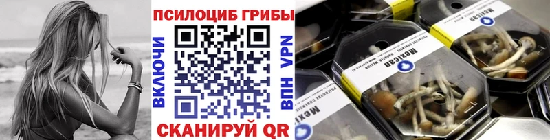 Галлюциногенные грибы Magic Shrooms как найти наркотики мориарти формула Далматово